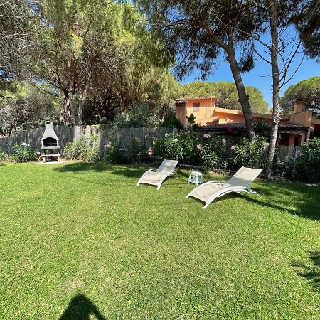 Zaffiro Casa Vacanze Al Mare Valledoria  Exteriör bild
