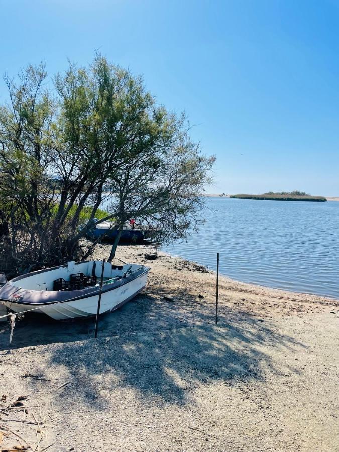 Zaffiro Casa Vacanze Al Mare Valledoria  Exteriör bild