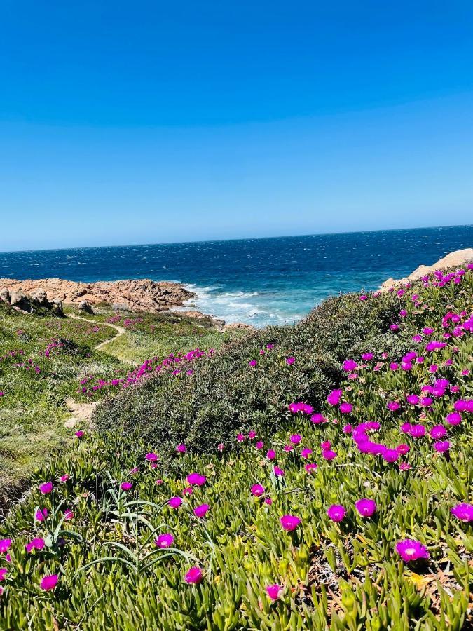 Zaffiro Casa Vacanze Al Mare Valledoria  Exteriör bild