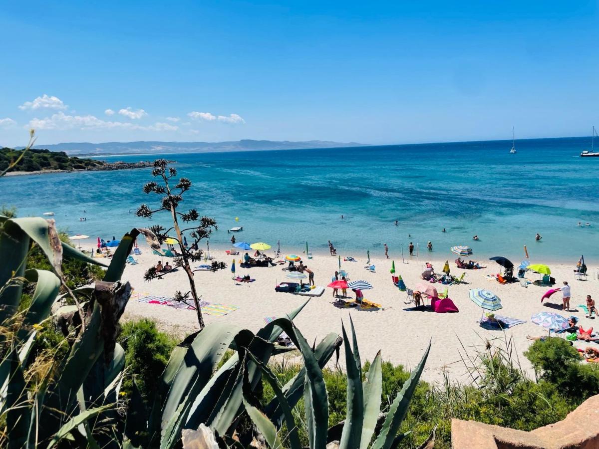 Zaffiro Casa Vacanze Al Mare Valledoria  Exteriör bild