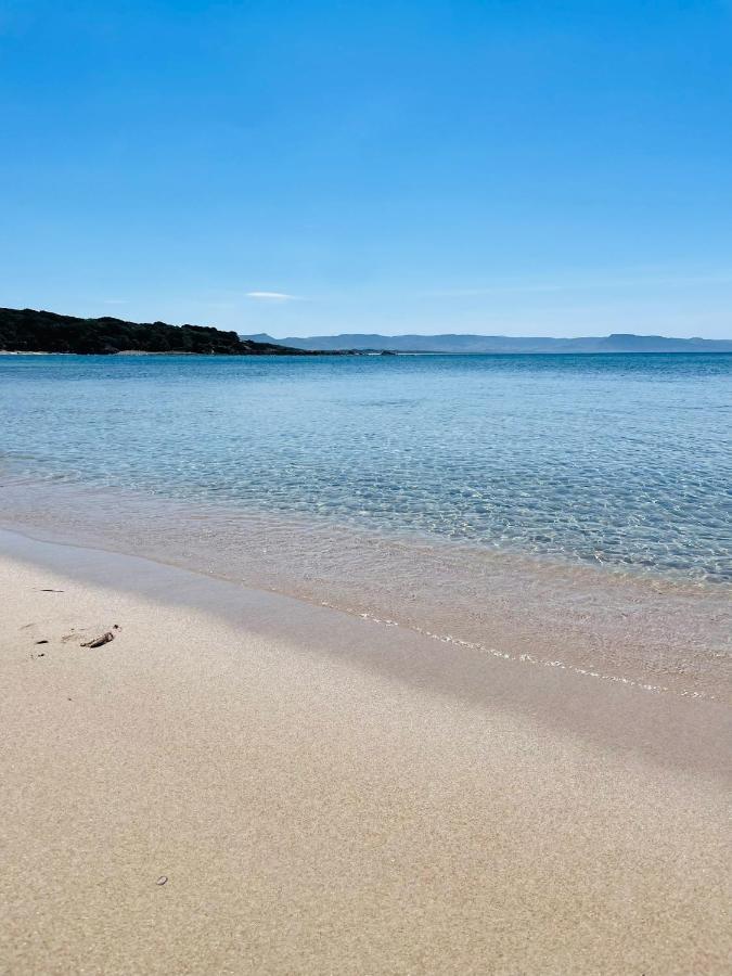 Zaffiro Casa Vacanze Al Mare Valledoria  Exteriör bild